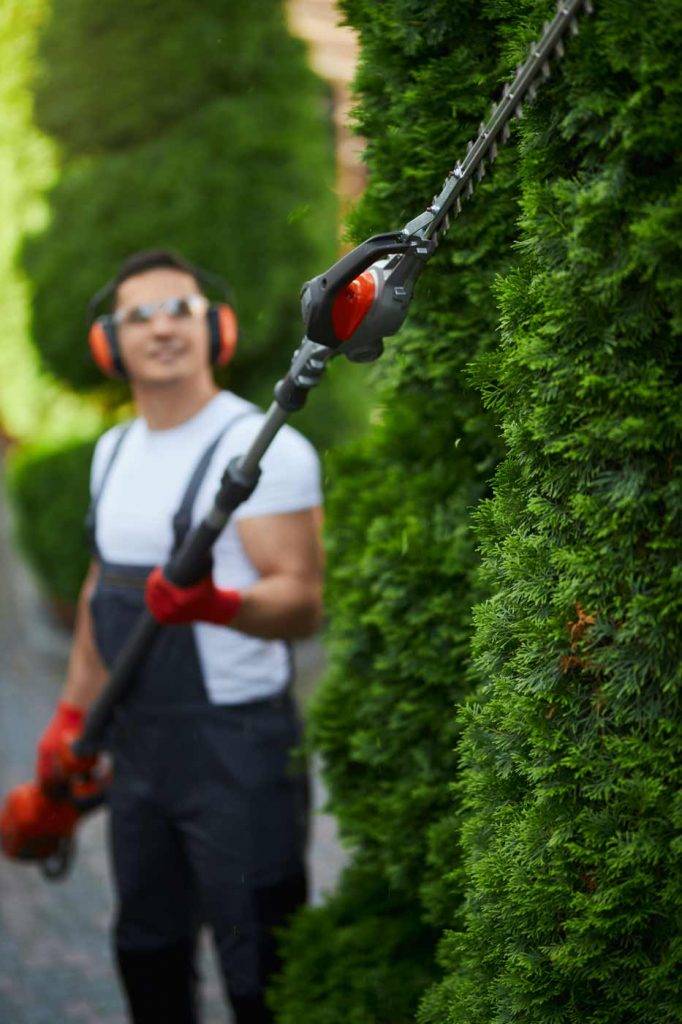 Ein Mitarbeiter von Reinigungskonzepte Hamburg schneidet die Hecke eines Kunden, dabei trägt er moderne Sicherheitskleidung.