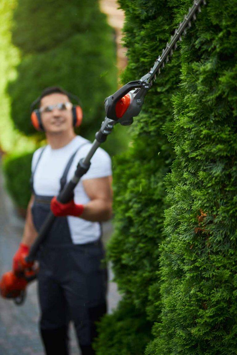 Ein Mitarbeiter von Reinigungskonzepte Hamburg schneidet die Hecke eines Kunden, dabei trägt er moderne Sicherheitskleidung.