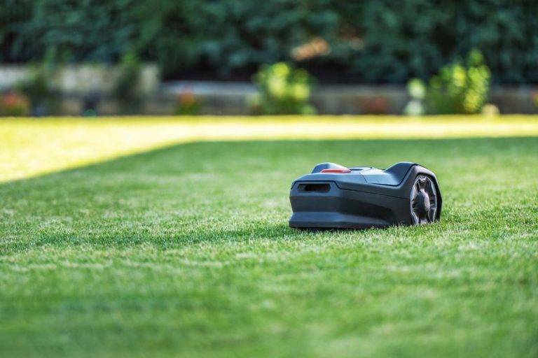 Mähroboter fährt autonom über sattgrünen Rasen in einem Privatgarten in Pirna – Einrichtung und Betreuung durch Gartenkonzepte