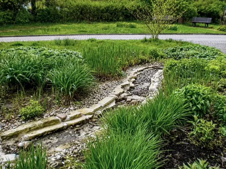 Naturnahe Gartenanlage mit geschwungenem Kiesbach, üppigen Wasserpflanzen und gepflegter Grünfläche mit Parkbank