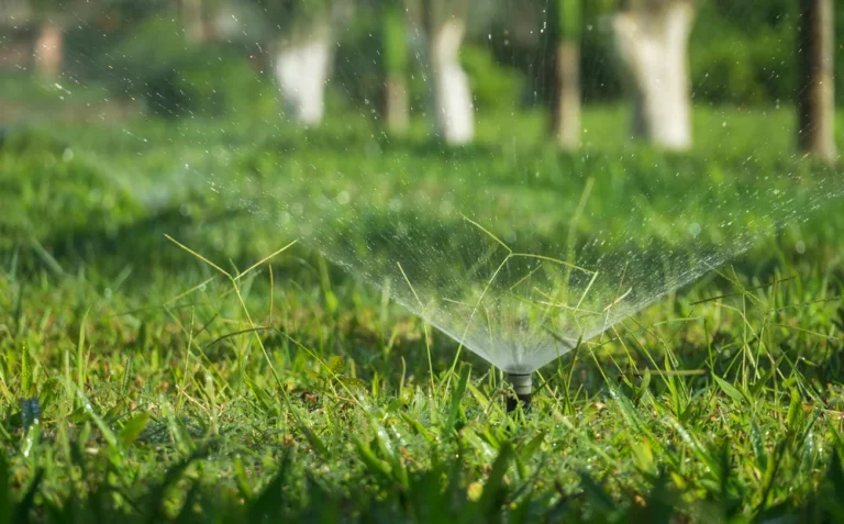 Eingebauter Rasensprinkler verteilt Wasser gleichmäßig über grünen Rasen – automatisches Bewässerungssystem im Garten