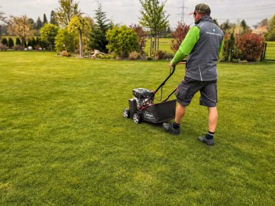 Gartenkonzepte-Mitarbeiter in grüner Arbeitskleidung beim fachgerechten Rasenschnitt auf einer gepflegten Rasenfläche in Dresden