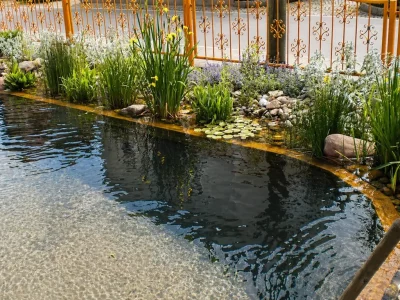 Klarer Gartenteich mit Seerosen, Schwertlilien, Schilf und blühenden Uferpflanzen – naturnahe Teichgestaltung