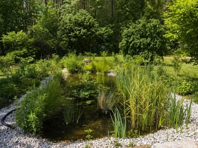 Naturteich mit Schilf, Wasserpflanzen und Kiesrandstreifen in einem naturnahen Garten – nachhaltige Gartengestaltung