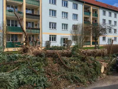 Umgestürzte Fichte nach Sturmschaden vor einem Wohnhaus – Gehölzpflege und Baumfällung durch Gartenkonzepte
